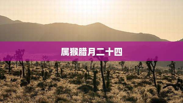 属猴腊月二十四