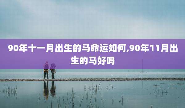 90年十一月出生的马命运如何,90年11月出生的马好吗
