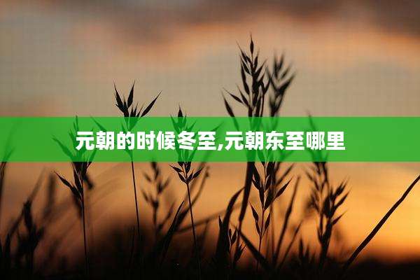 元朝的时候冬至,元朝东至哪里