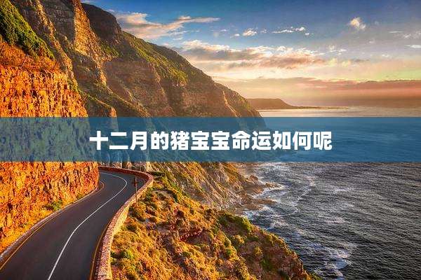 十二月的猪宝宝命运如何呢