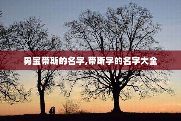 男宝带斯的名字,带斯字的名字大全