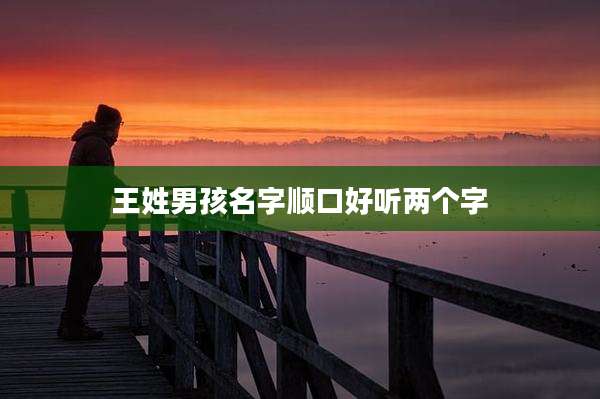 王姓男孩名字顺口好听两个字