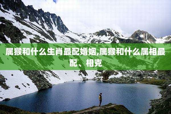 属猴和什么生肖最配婚姻,属猴和什么属相最配、相克