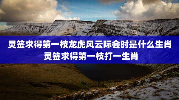 灵签求得第一枝龙虎风云际会时是什么生肖 灵签求得第一枝打一生肖