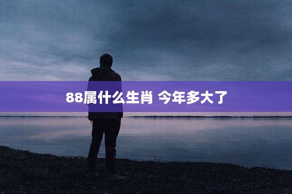 88属什么生肖 今年多大了
