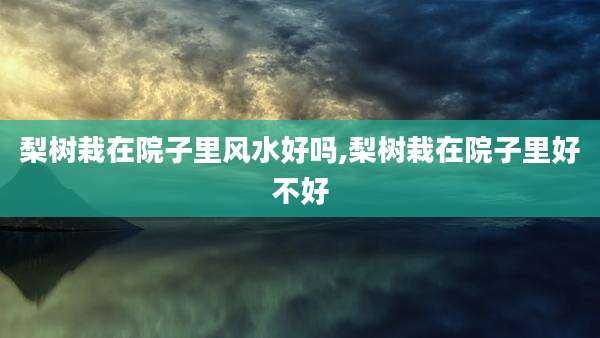 梨树栽在院子里风水好吗,梨树栽在院子里好不好