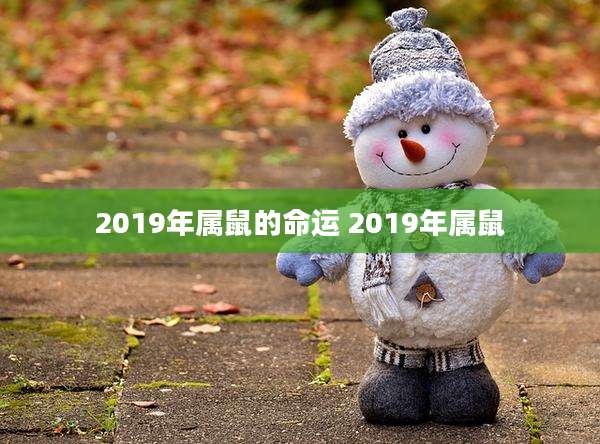2019年属鼠的命运 2019年属鼠