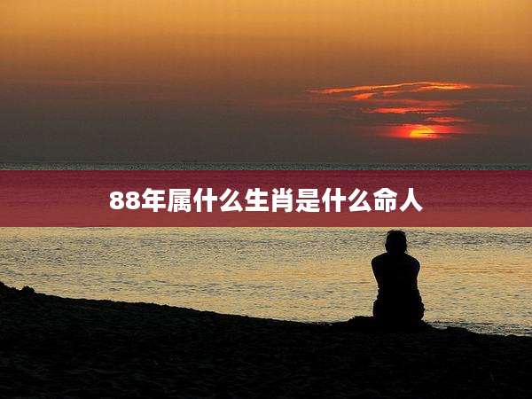 88年属什么生肖是什么命人