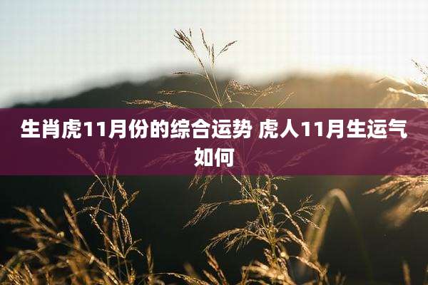 生肖虎11月份的综合运势 虎人11月生运气如何