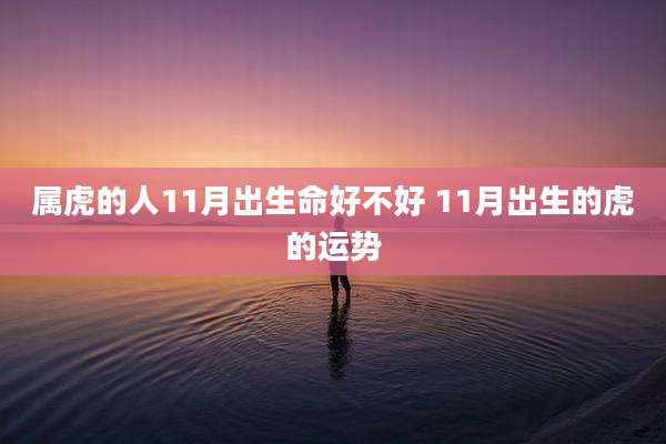 属虎的人11月出生命好不好 11月出生的虎的运势