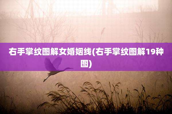 右手掌纹图解女婚姻线(右手掌纹图解19种图)