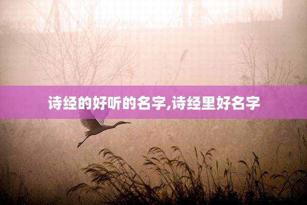 诗经的好听的名字,诗经里好名字