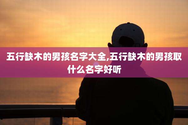 五行缺木的男孩名字大全,五行缺木的男孩取什么名字好听