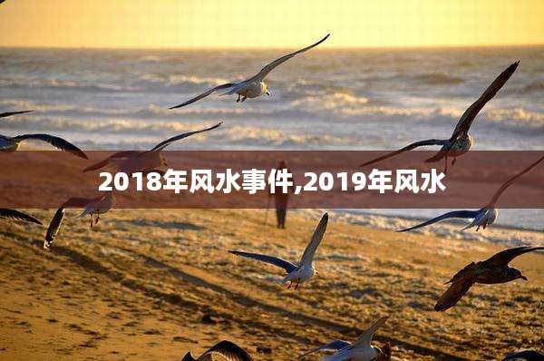 2018年风水事件,2019年风水