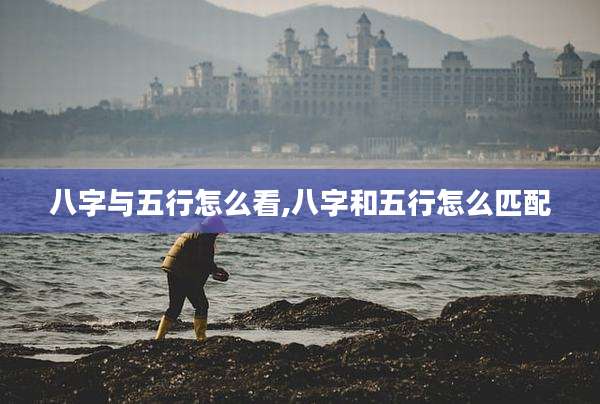 八字与五行怎么看,八字和五行怎么匹配