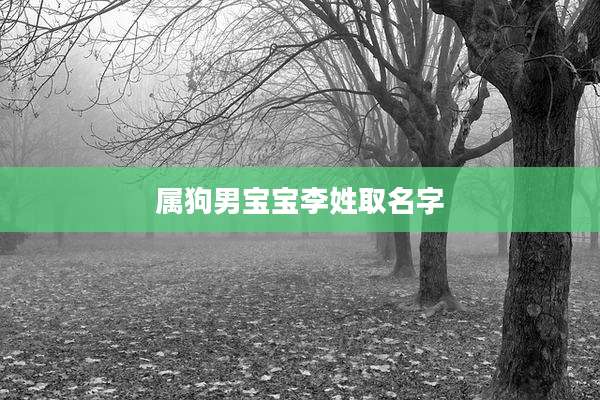 属狗男宝宝李姓取名字