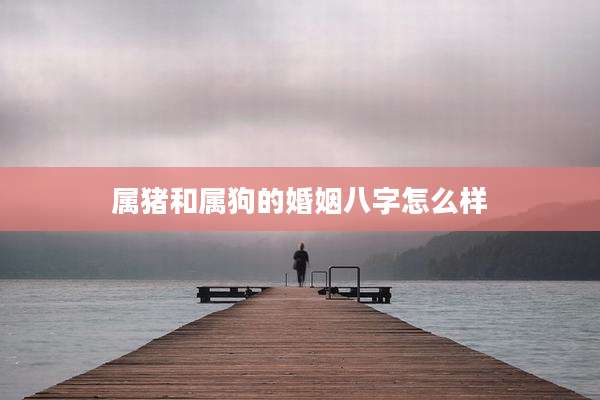 属猪和属狗的婚姻八字怎么样