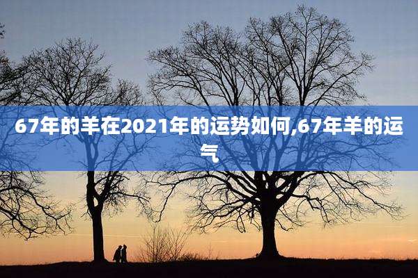 67年的羊在2021年的运势如何,67年羊的运气