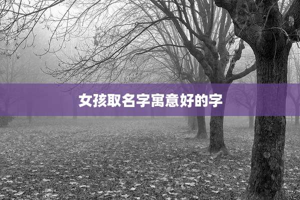 女孩取名字寓意好的字