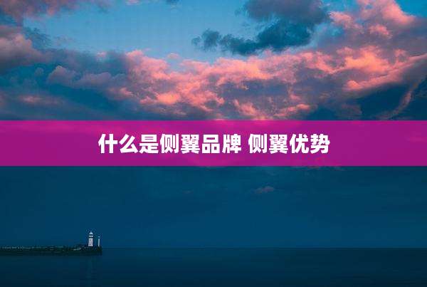 什么是侧翼品牌 侧翼优势
