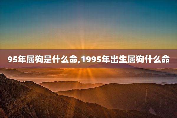95年属狗是什么命,1995年出生属狗什么命