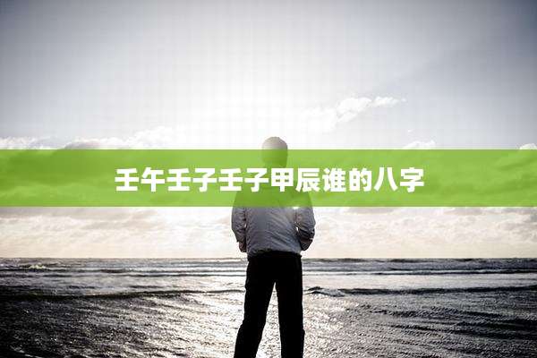 壬午壬子壬子甲辰谁的八字
