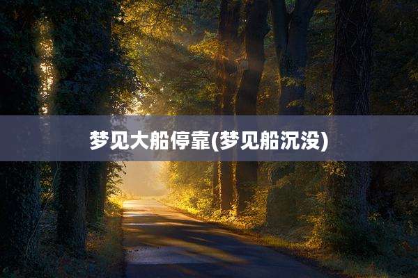 梦见大船停靠(梦见船沉没)