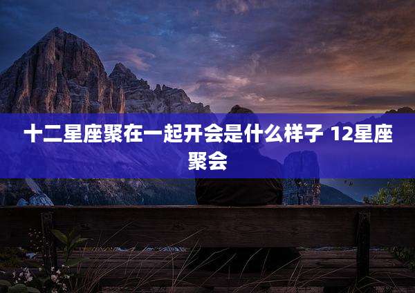 十二星座聚在一起开会是什么样子 12星座聚会