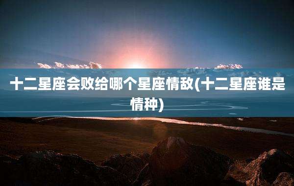 十二星座会败给哪个星座情敌(十二星座谁是情种)