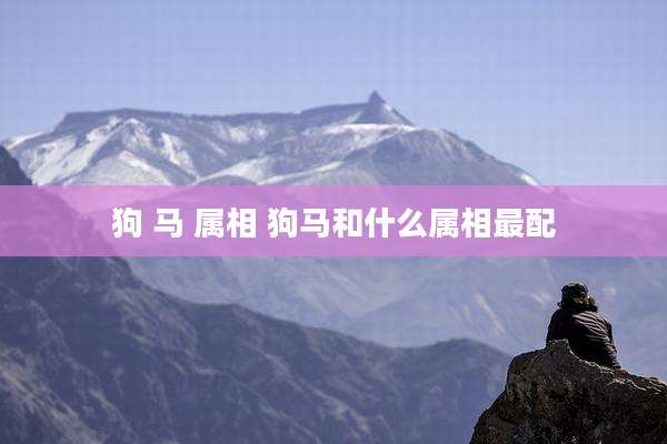狗 马 属相 狗马和什么属相最配
