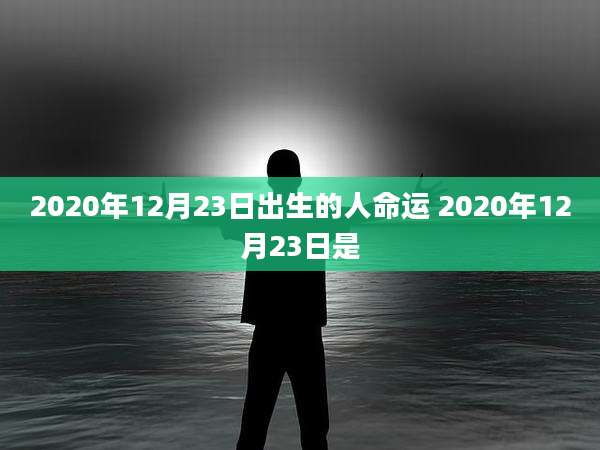 2020年12月23日出生的人命运 2020年12月23日是