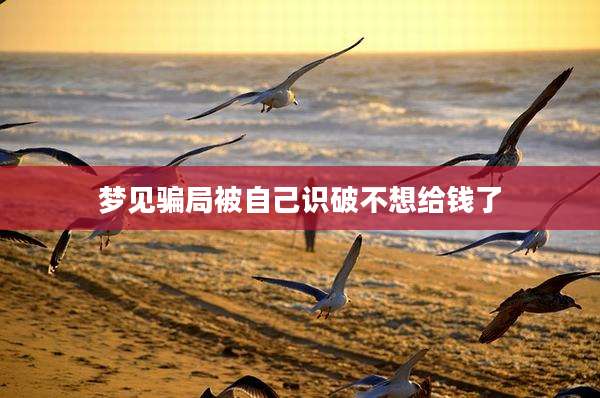 梦见骗局被自己识破不想给钱了