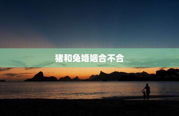 猪和兔婚姻合不合