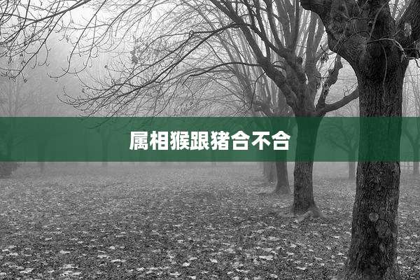 属相猴跟猪合不合
