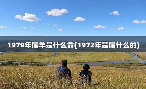 1979年属羊是什么命(1972年是属什么的)