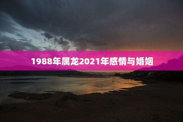 1988年属龙2021年感情与婚姻