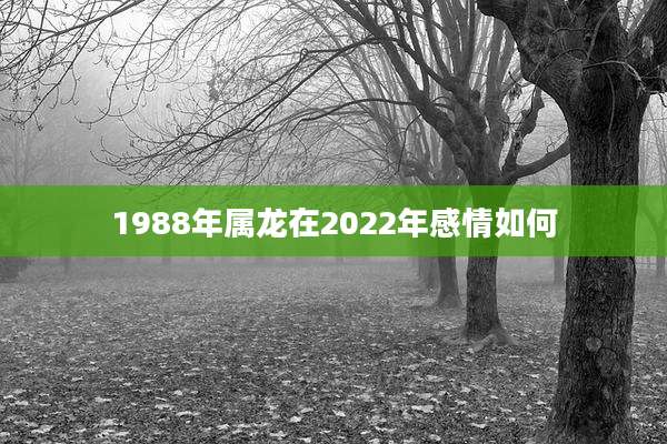 1988年属龙在2022年感情如何