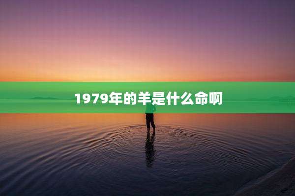 1979年的羊是什么命啊