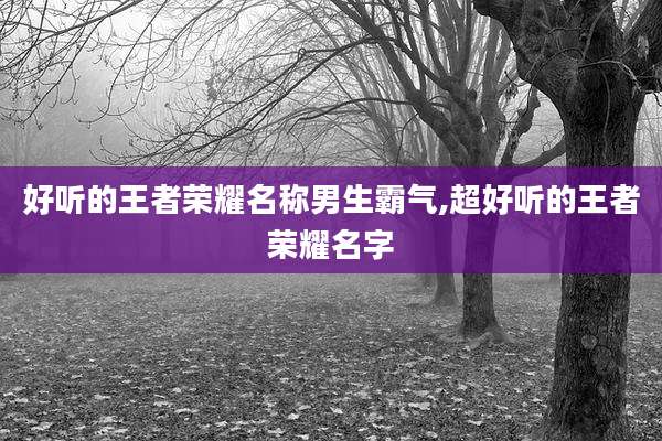 好听的王者荣耀名称男生霸气,超好听的王者荣耀名字
