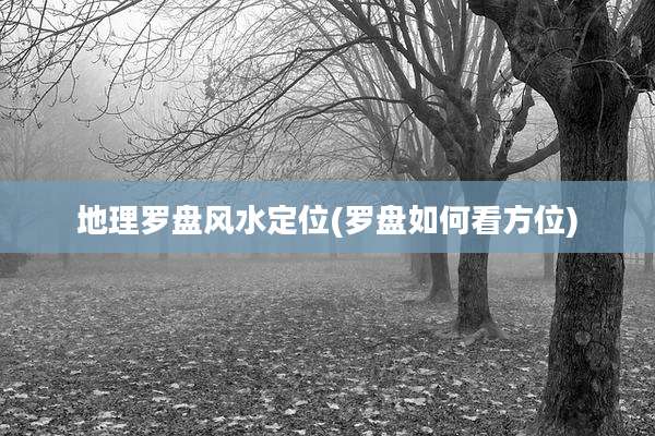 地理罗盘风水定位(罗盘如何看方位)