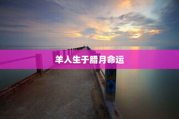 羊人生于腊月命运