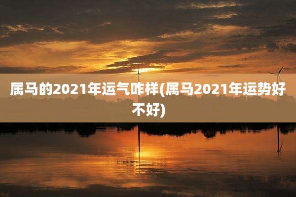 属马的2021年运气咋样(属马2021年运势好不好)