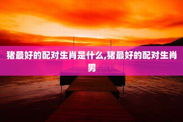 猪最好的配对生肖是什么,猪最好的配对生肖男