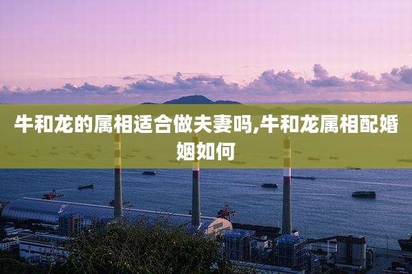 牛和龙的属相适合做夫妻吗,牛和龙属相配婚姻如何