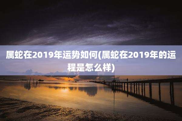 属蛇在2019年运势如何(属蛇在2019年的运程是怎么样)