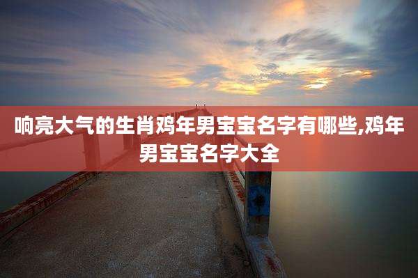 响亮大气的生肖鸡年男宝宝名字有哪些,鸡年男宝宝名字大全