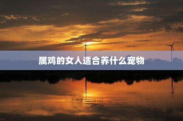 属鸡的女人适合养什么宠物