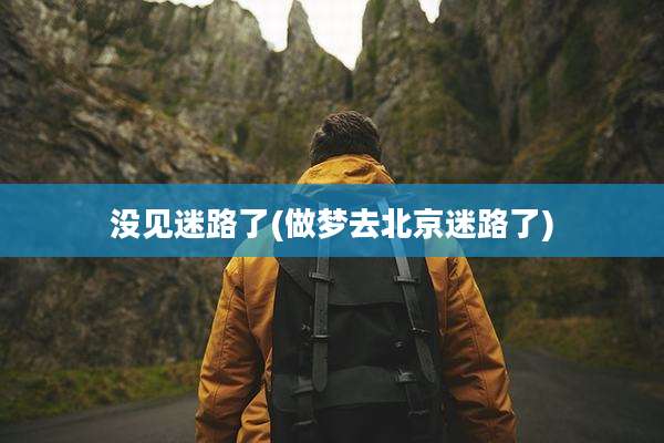 没见迷路了(做梦去北京迷路了)