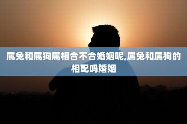 属兔和属狗属相合不合婚姻呢,属兔和属狗的相配吗婚姻