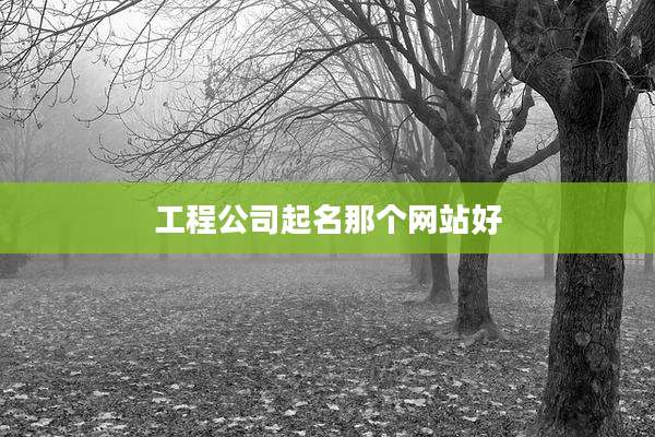 工程公司起名那个网站好